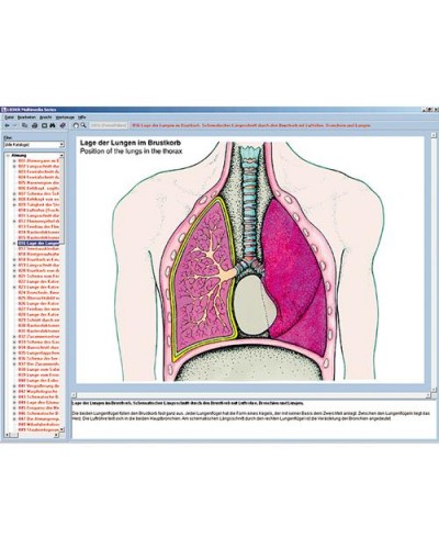 The human respiratory and circulatory systems, the human heart, Interactive CD-ROM